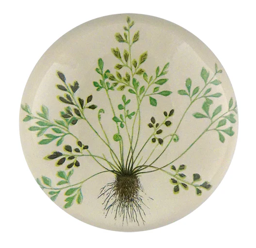 Buta-muraria Dome Paperweight