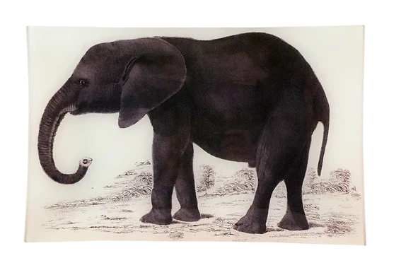Elephant Letter Tray