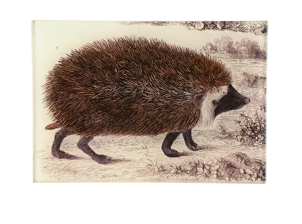 Hedgehog Mini Tray