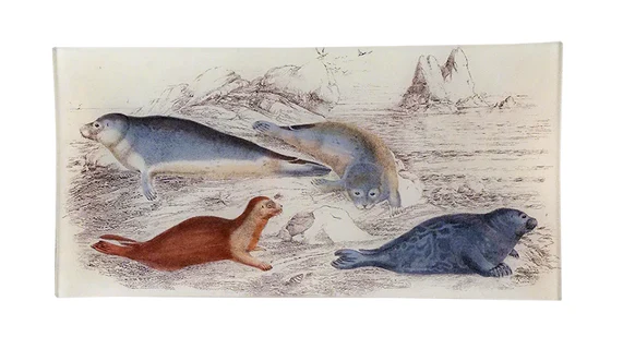 Seals Pencil Tray
