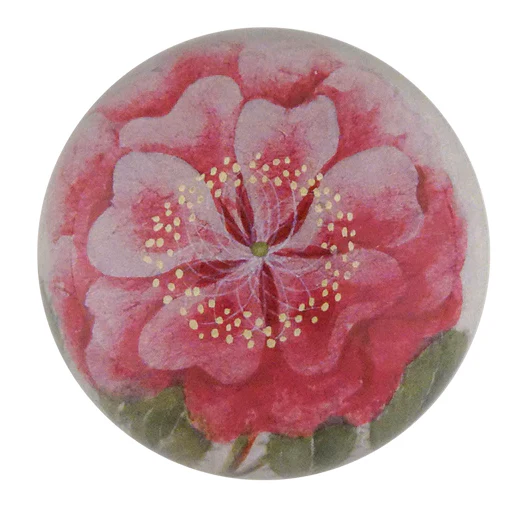 Tropical Rose Dome Paperweight